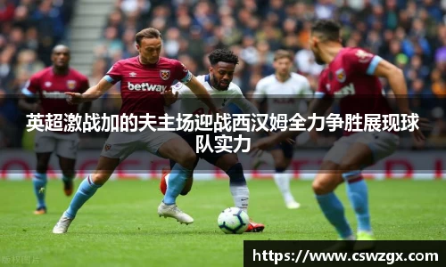英超激战加的夫主场迎战西汉姆全力争胜展现球队实力